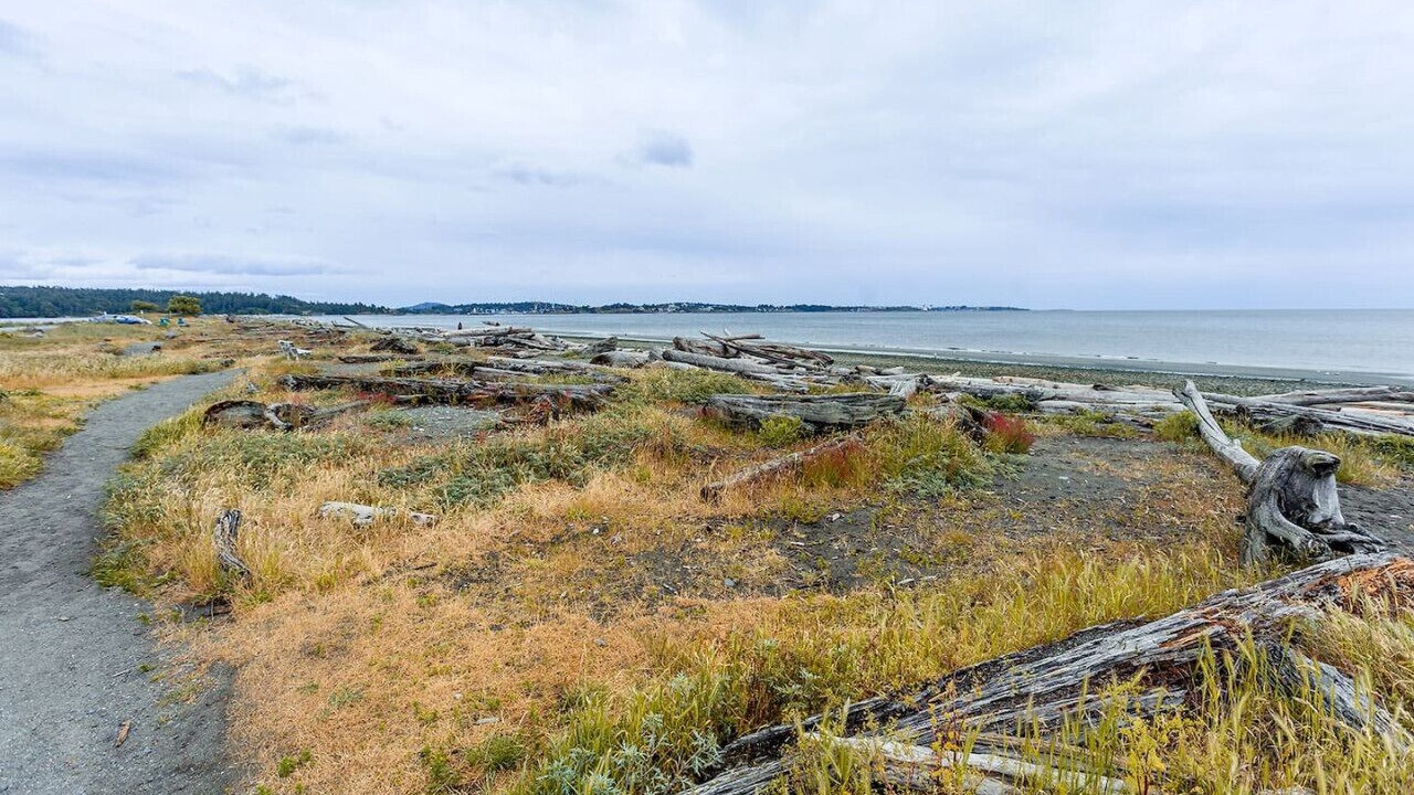 Photo of Others in Colwood