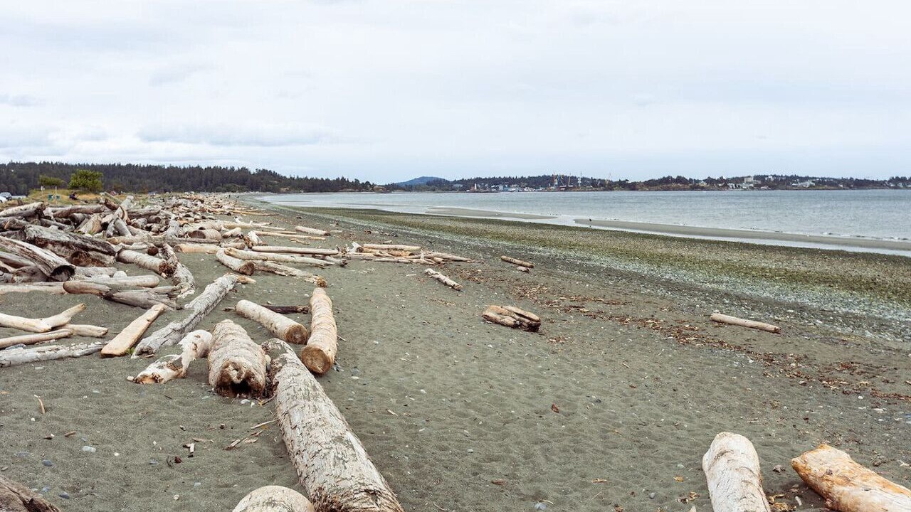 Photo of Others in Colwood