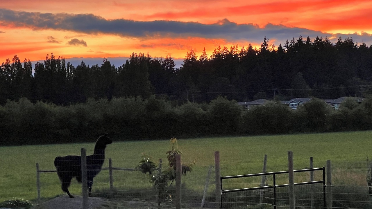 Photo of Others in Brentwood Bay