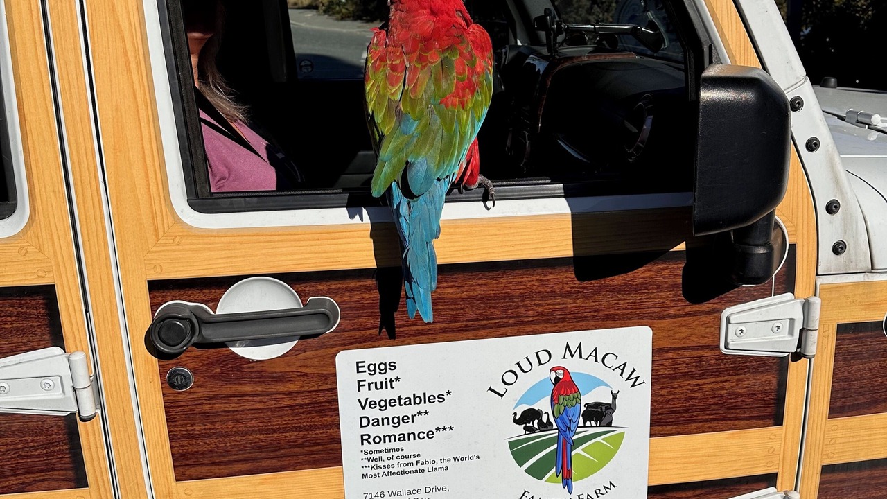 Photo of Others in Brentwood Bay