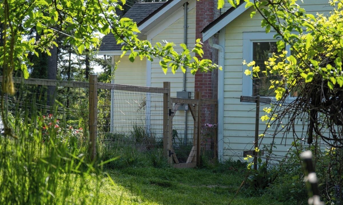 Photo of Outdoor in Shawnigan Lake