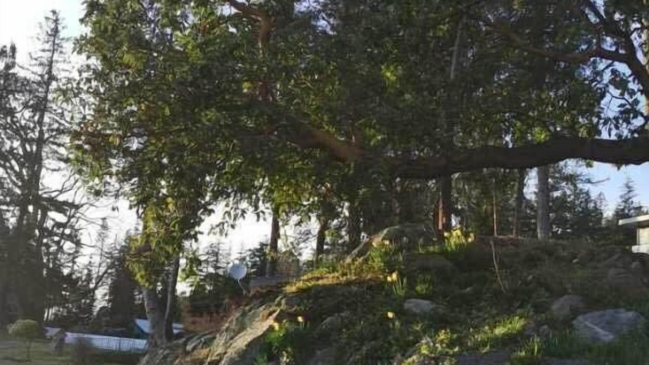 Photo of Outdoor in Sliammon
