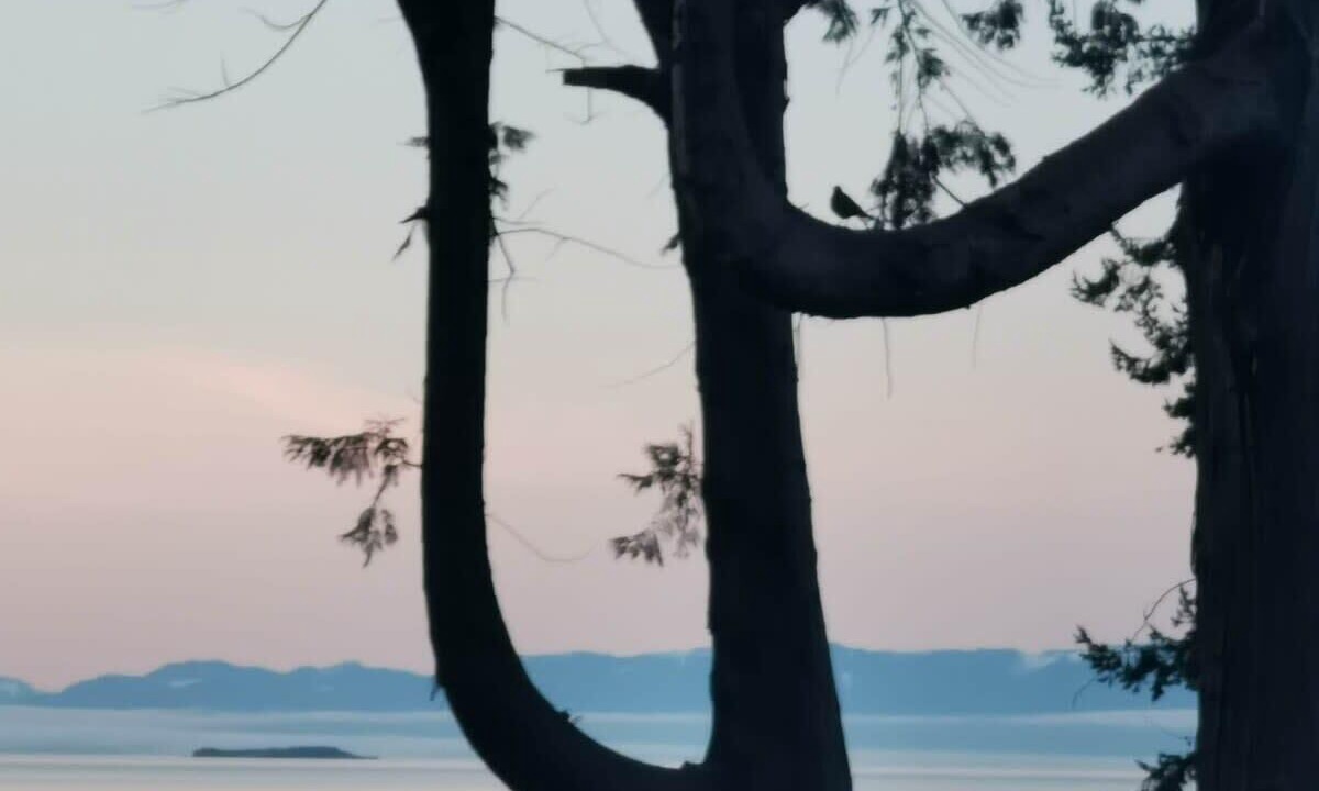 Photo of Others in Sliammon