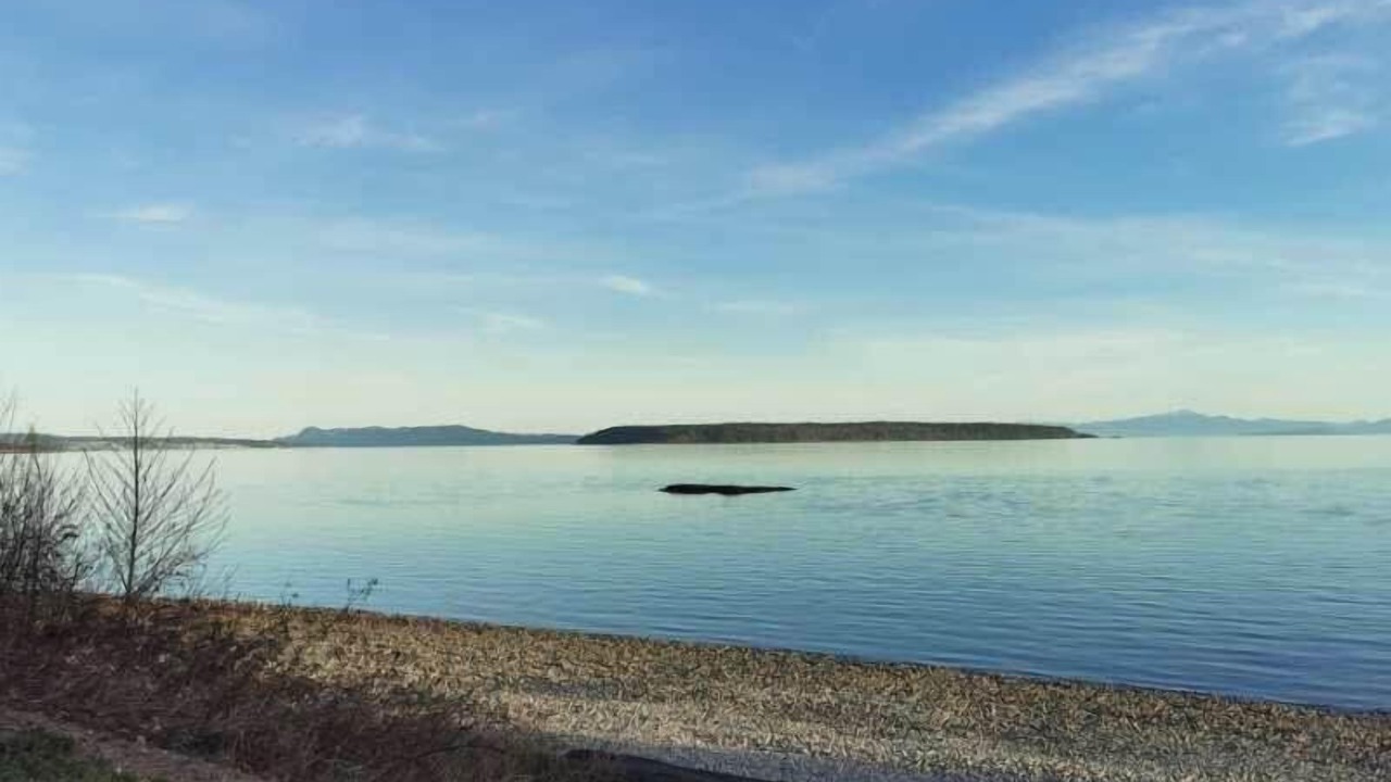 Photo of Outdoor in Sliammon