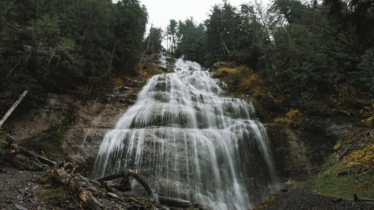 Photo of Others in Eastern Hillsides