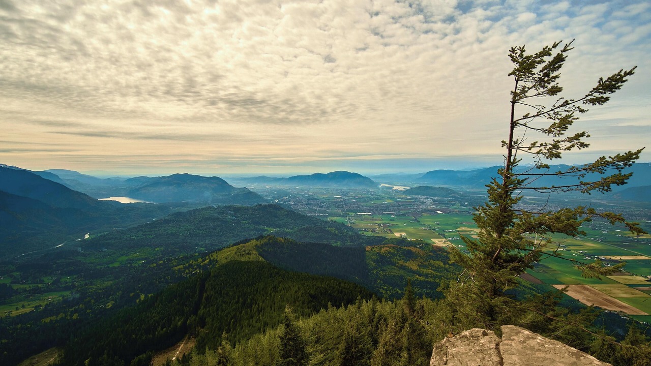 Photo of Outdoor in Eastern Hillsides