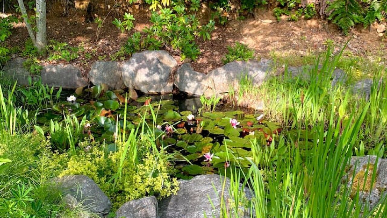 Photo of Outdoor in Bowen Island