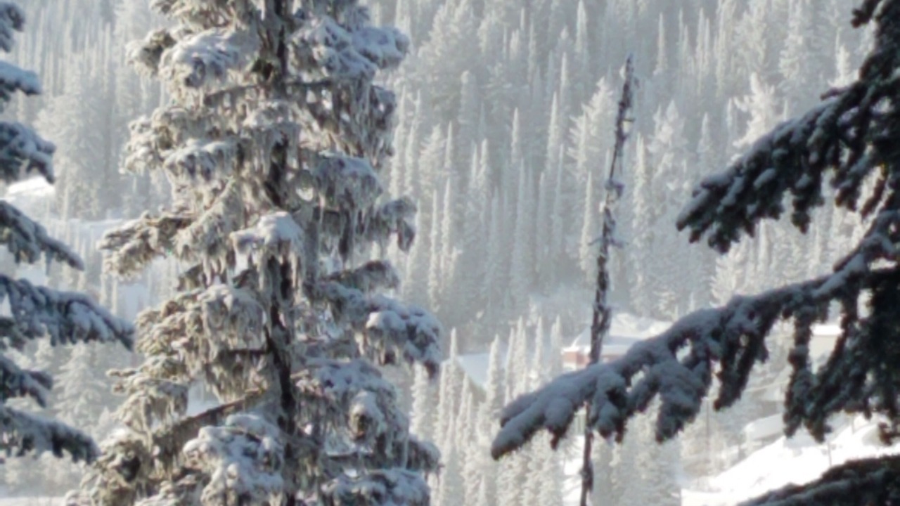 Photo of Outdoor in Silver Star Mountain