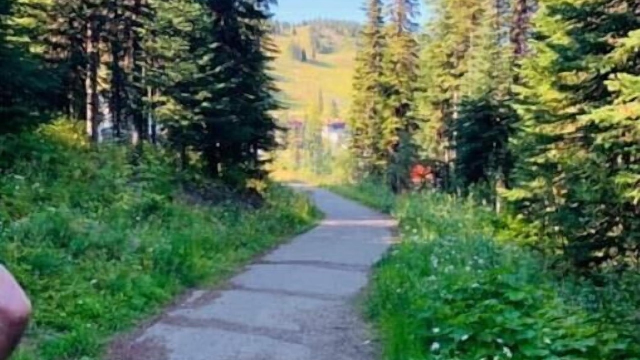 Photo of Outdoor in Silver Star Mountain
