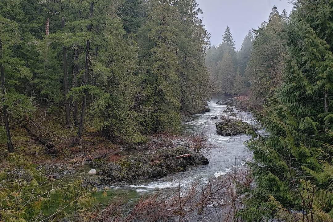 Photo of Others in Shawnigan Lake