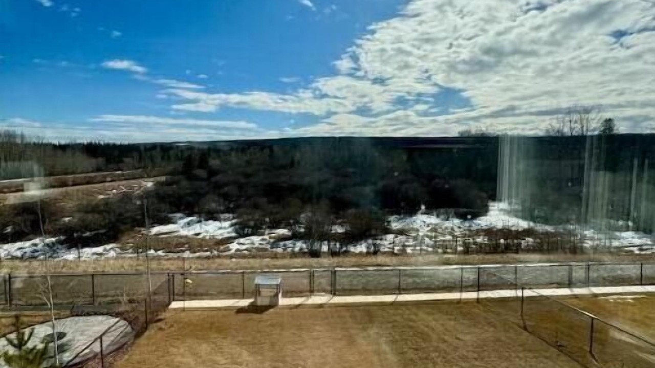 Photo of Outdoor in Southwest Calgary