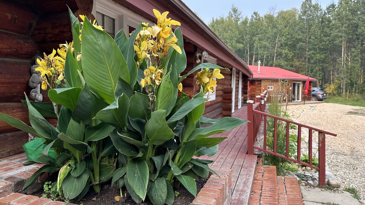 Photo of Outdoor in Whitecourt