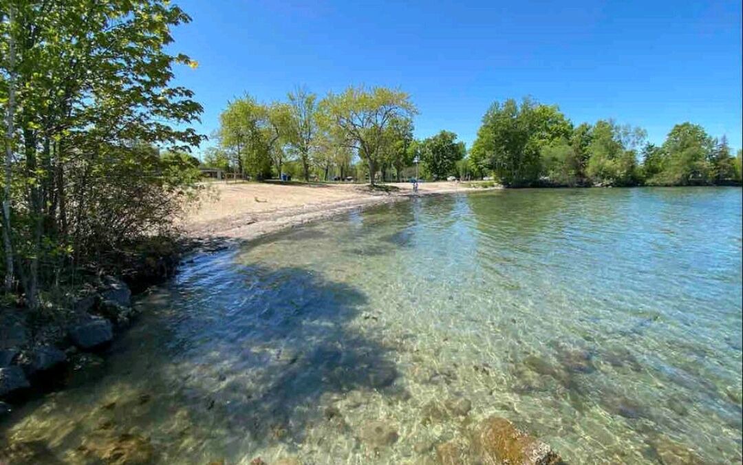 Photo of Others in Alcona