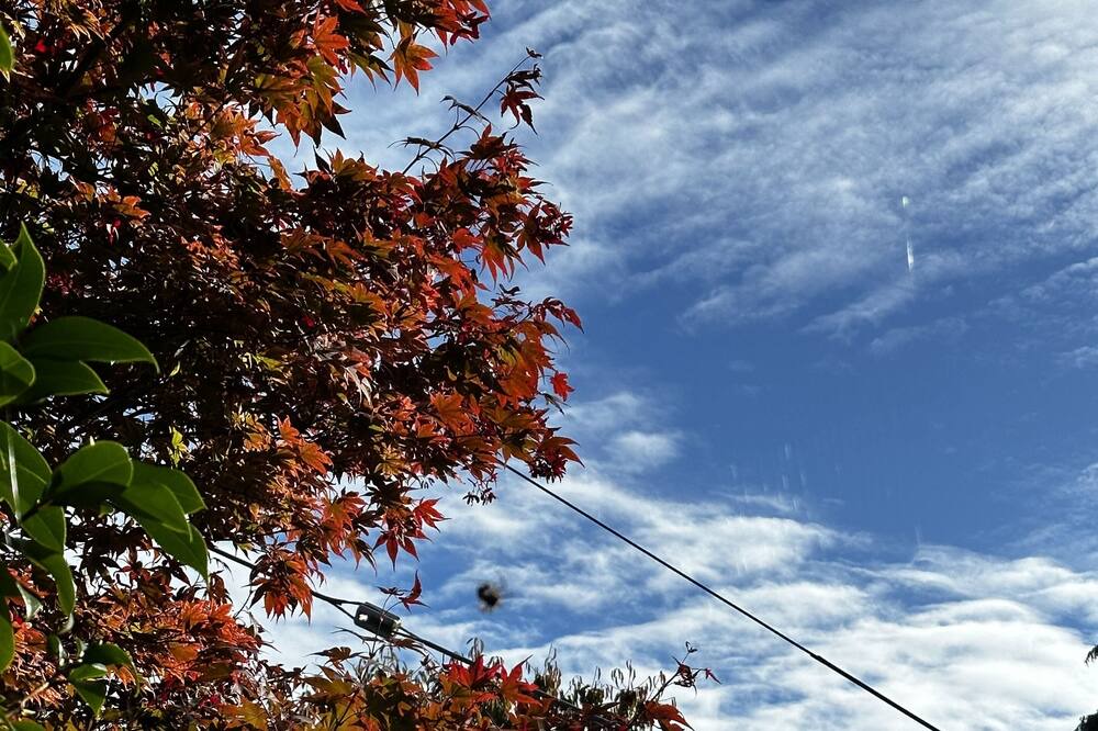 Photo of Outdoor in Grandview-Woodland