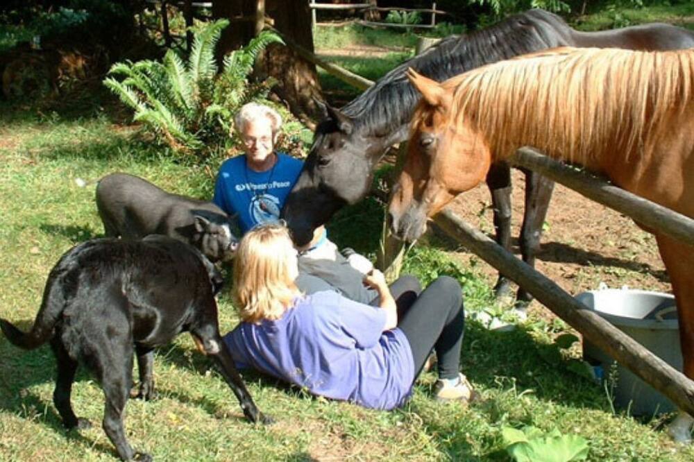 Photo of Others in Bowen Island
