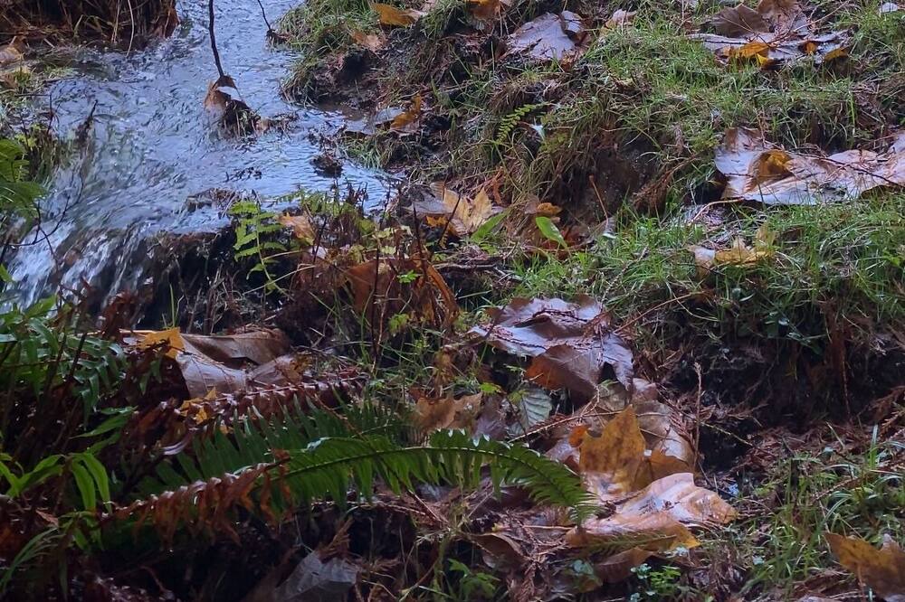 Photo of Outdoor in Bowen Island