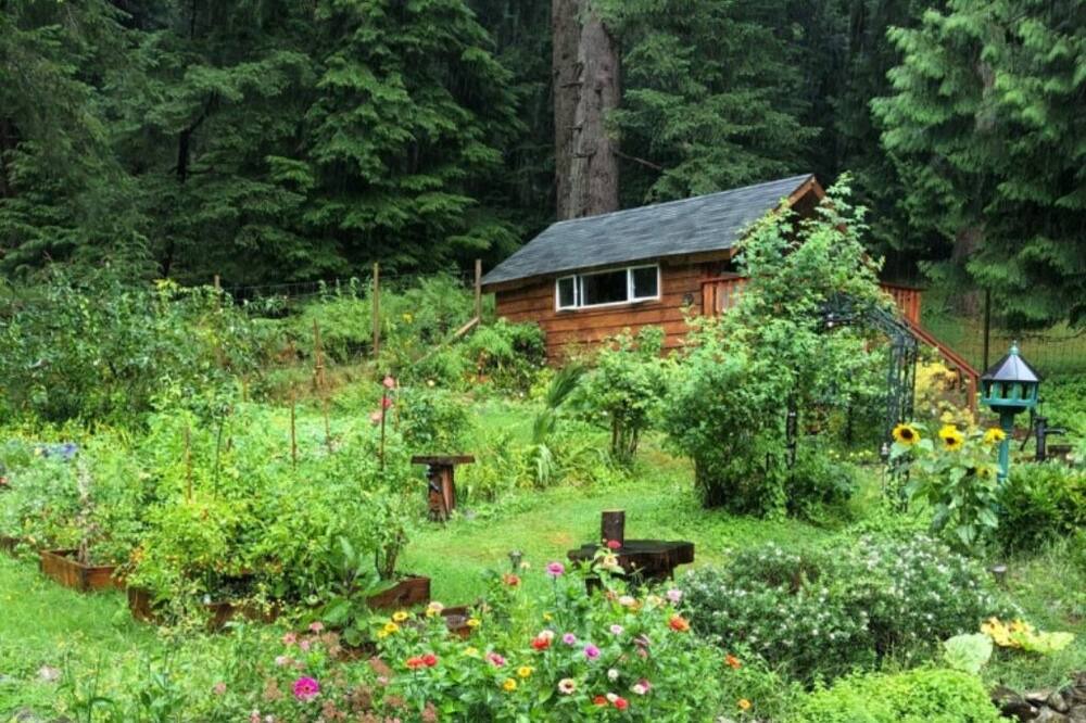 Photo of Outdoor in Bowen Island