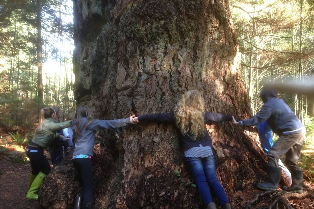 Photo of Outdoor in Bowen Island