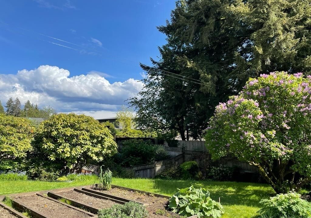 Photo of Outdoor in Hollyburn