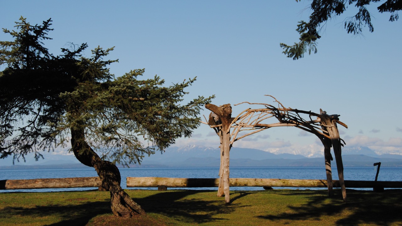 Photo of Others in Campbell River