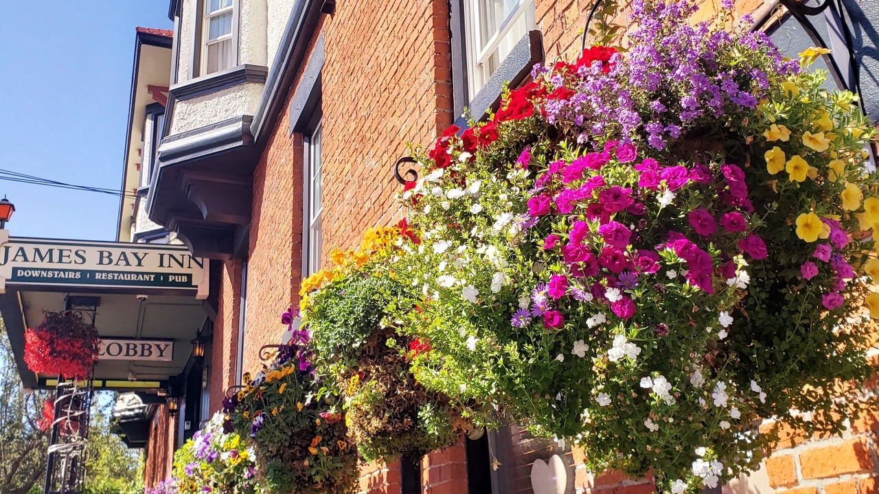 Photo of Outdoor in James Bay