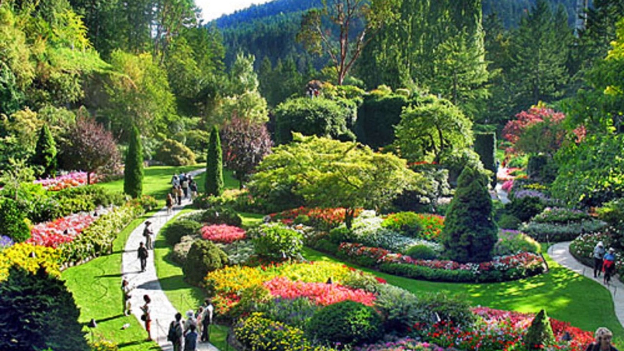 Photo of Others in Downtown Victoria