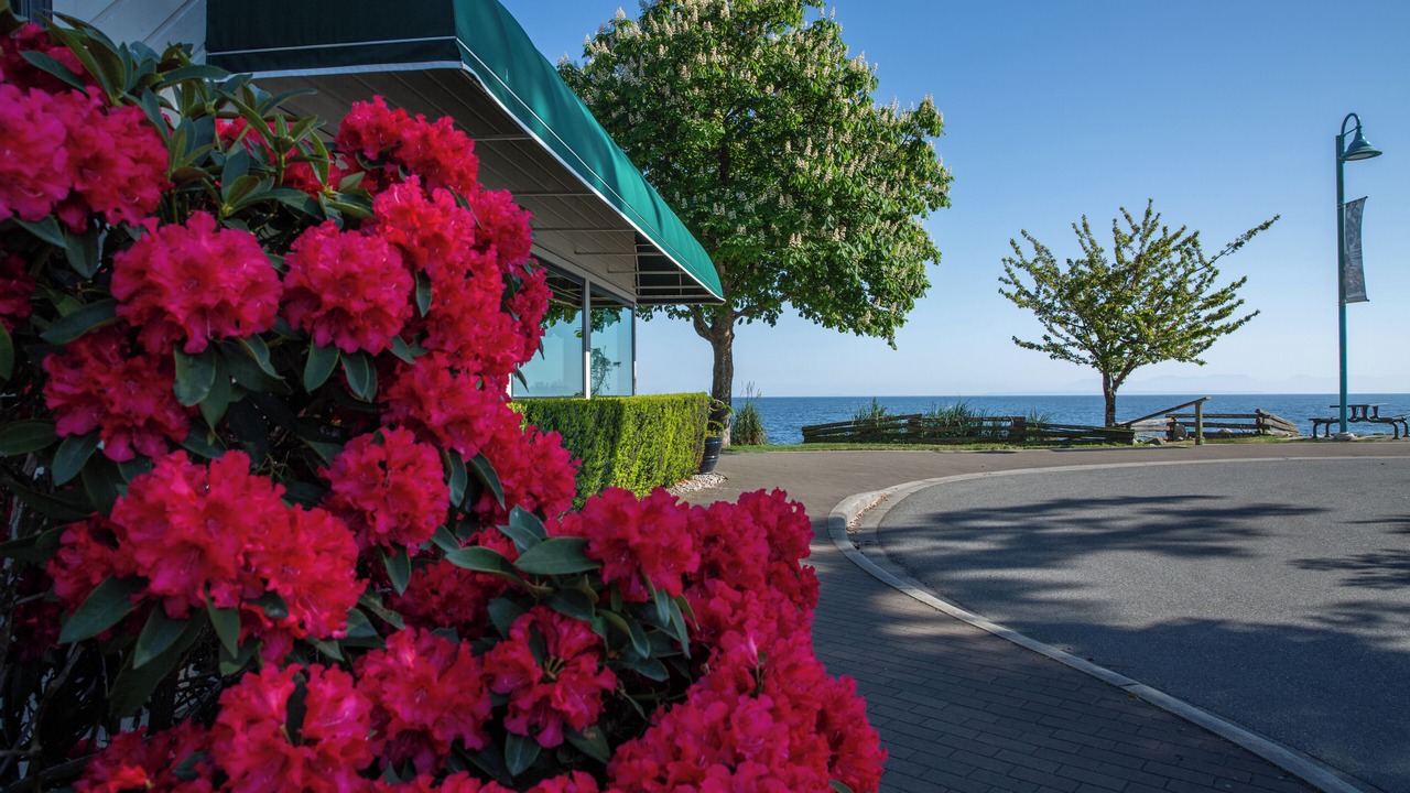 Photo of Outdoor in Downtown