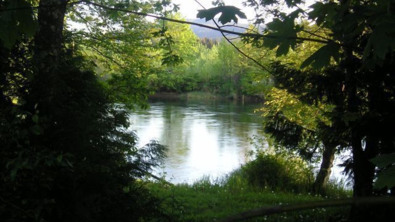 Photo of Outdoor in Port Alberni
