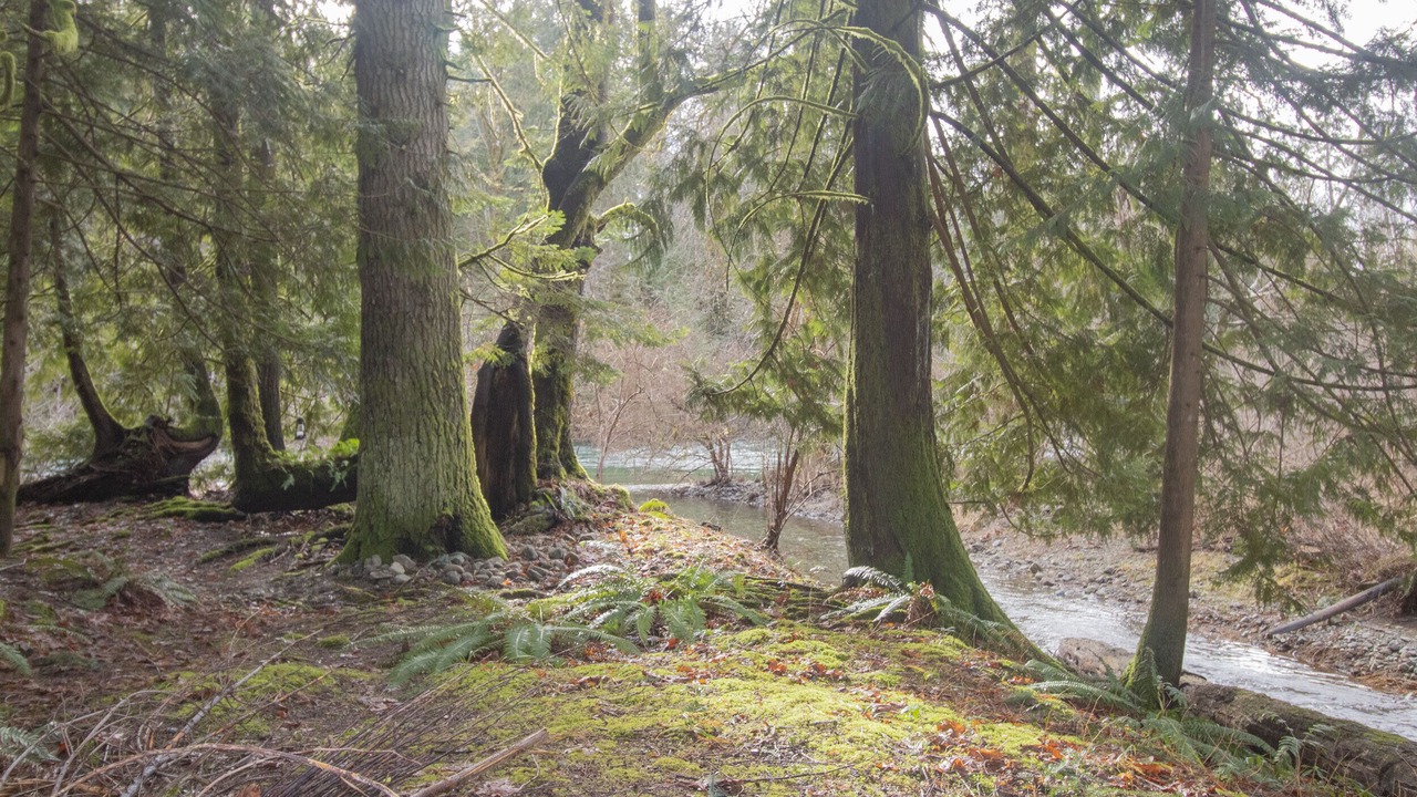 Photo of Others in Lake Cowichan