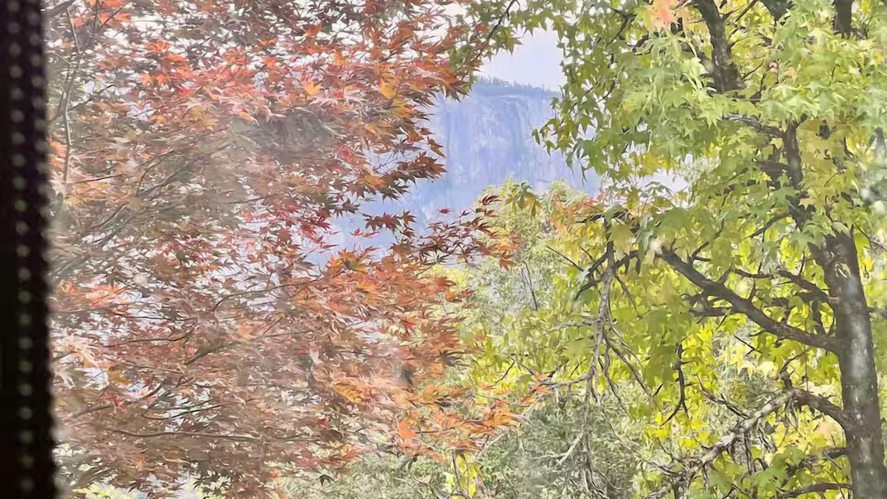 Photo of Outdoor in Squamish