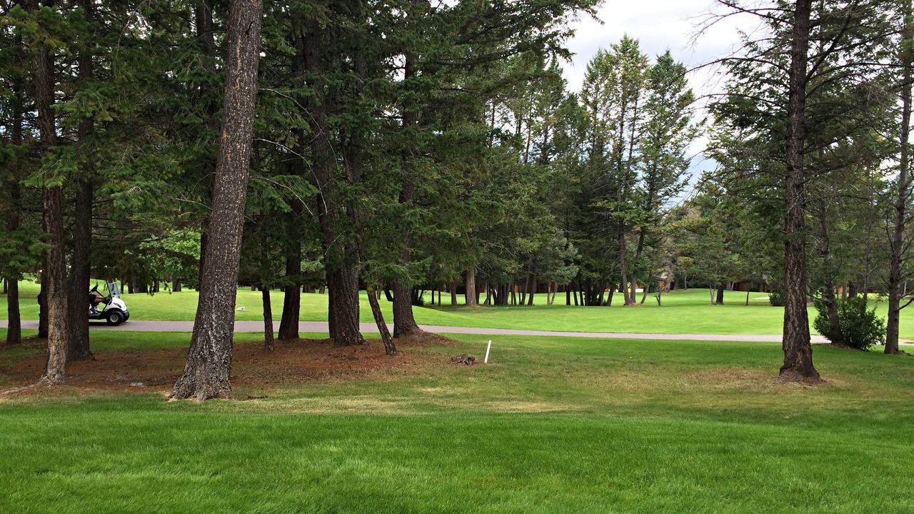 Photo of Outdoor in East Kootenay