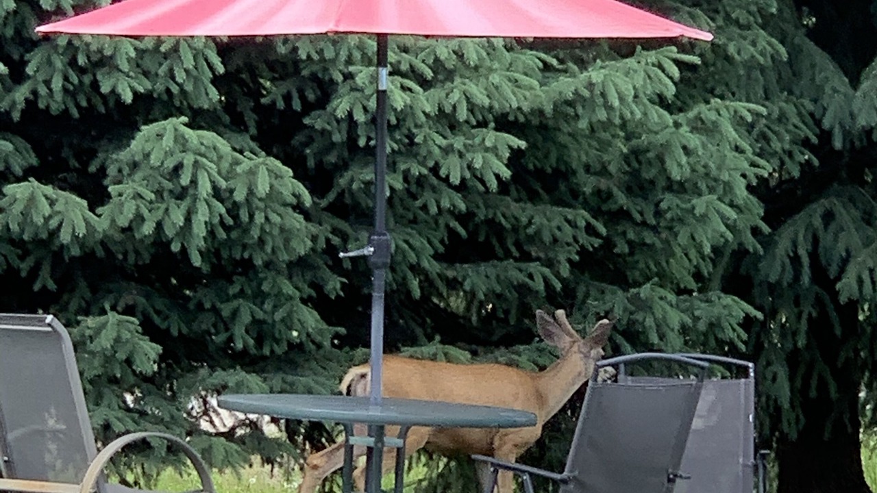 Photo of Outdoor in Greenwood