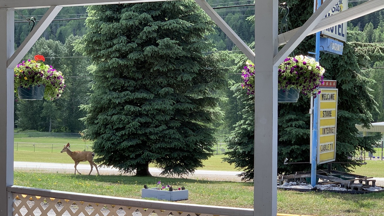 Photo of Outdoor in Greenwood