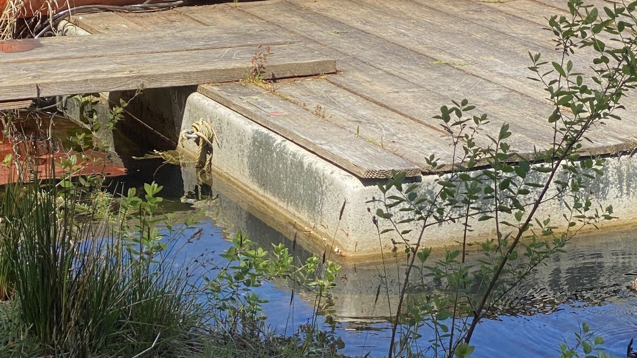 Photo of Outdoor in Irvines Landing