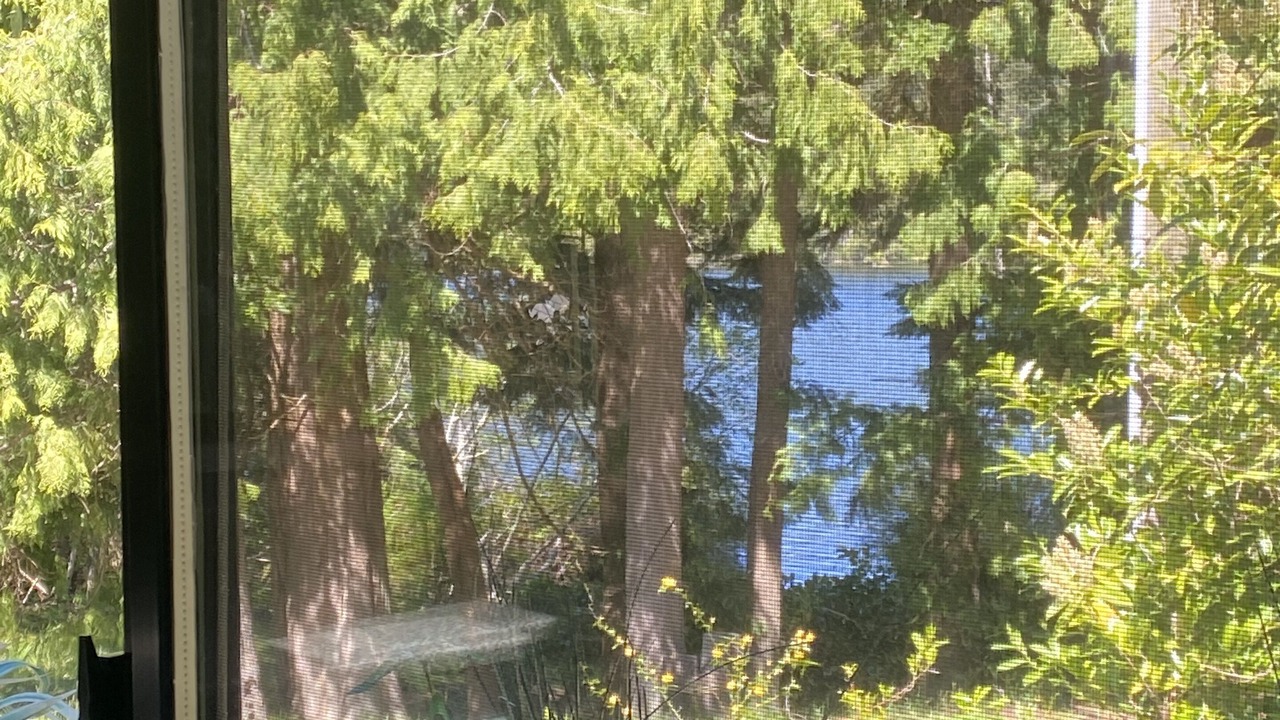 Photo of Outdoor in Irvines Landing