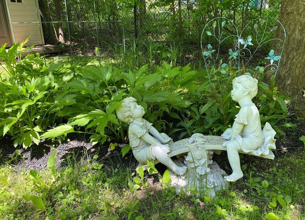 Photo of Outdoor in Tay