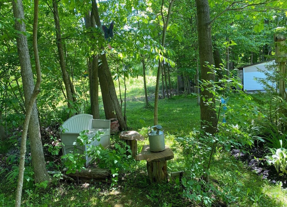 Photo of Outdoor in Tay