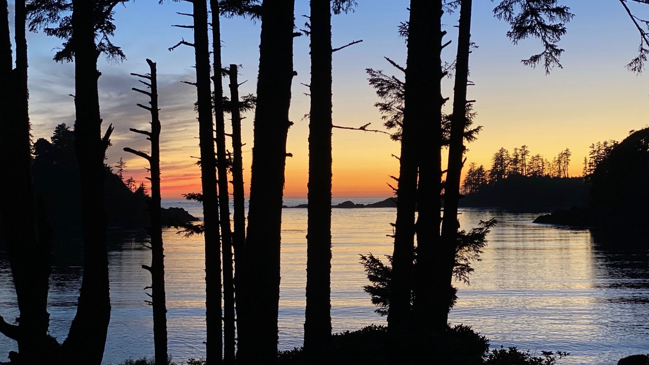 Photo of Outdoor in Ucluelet