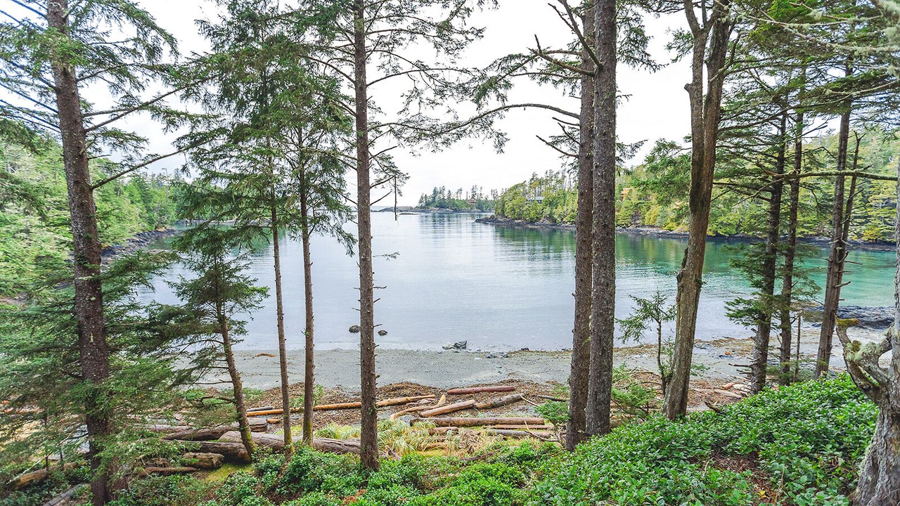 Photo of Outdoor in Ucluelet