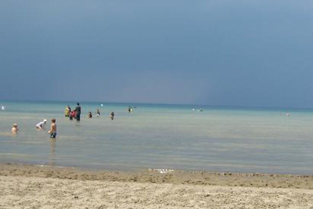 Photo of Others in Wasaga Beach