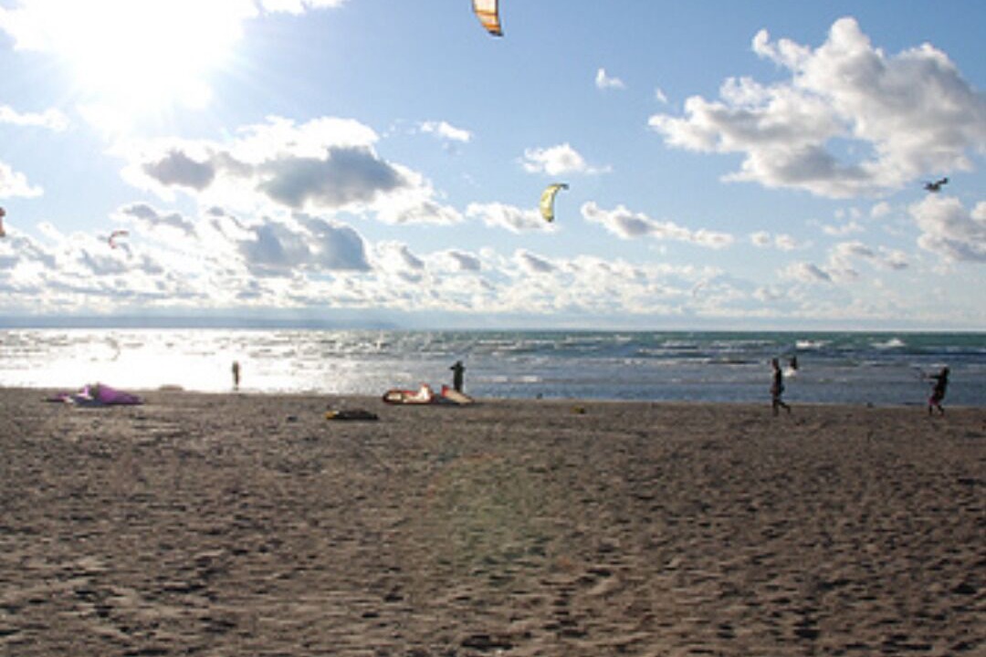 Photo of Others in Wasaga Beach