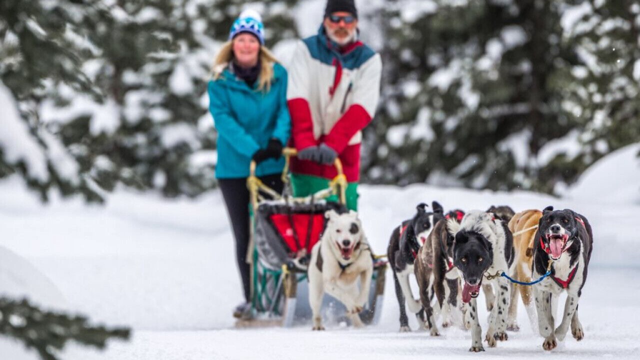 Photo of Others in Big White Ski Resort