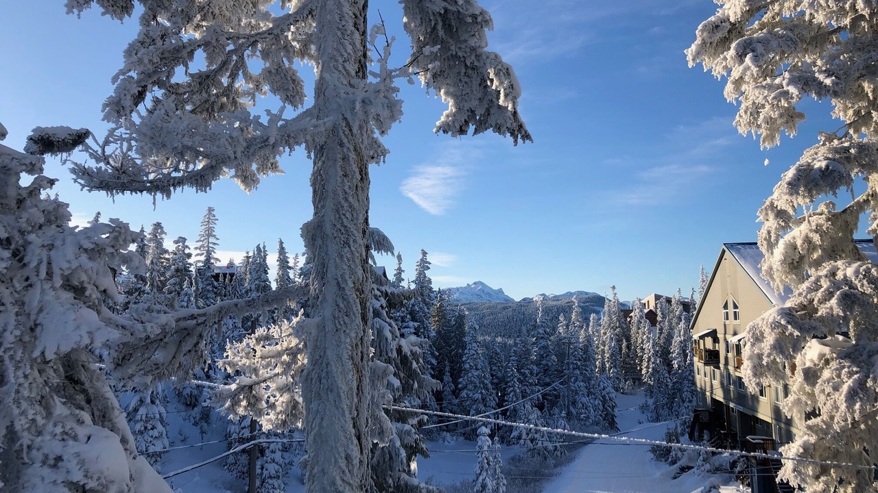 Photo of Outdoor in Courtenay