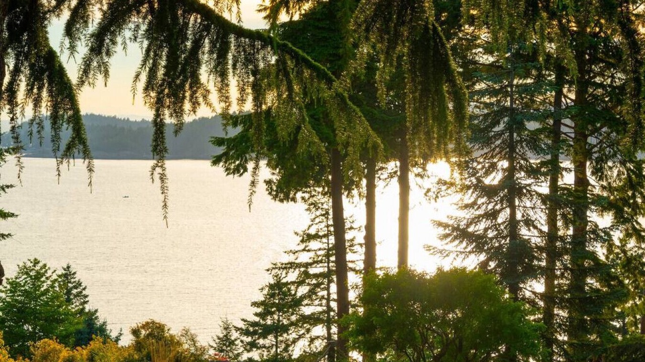 Photo of Others in Bowen Island