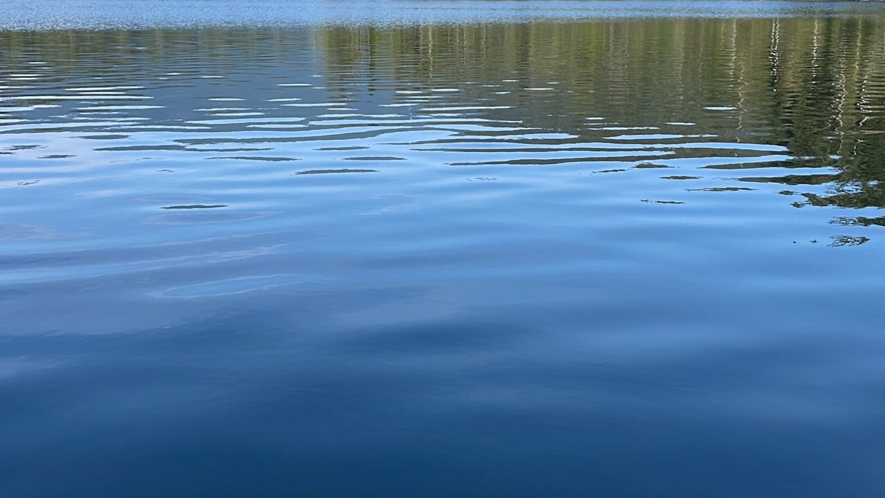 Photo of Others in Irvines Landing