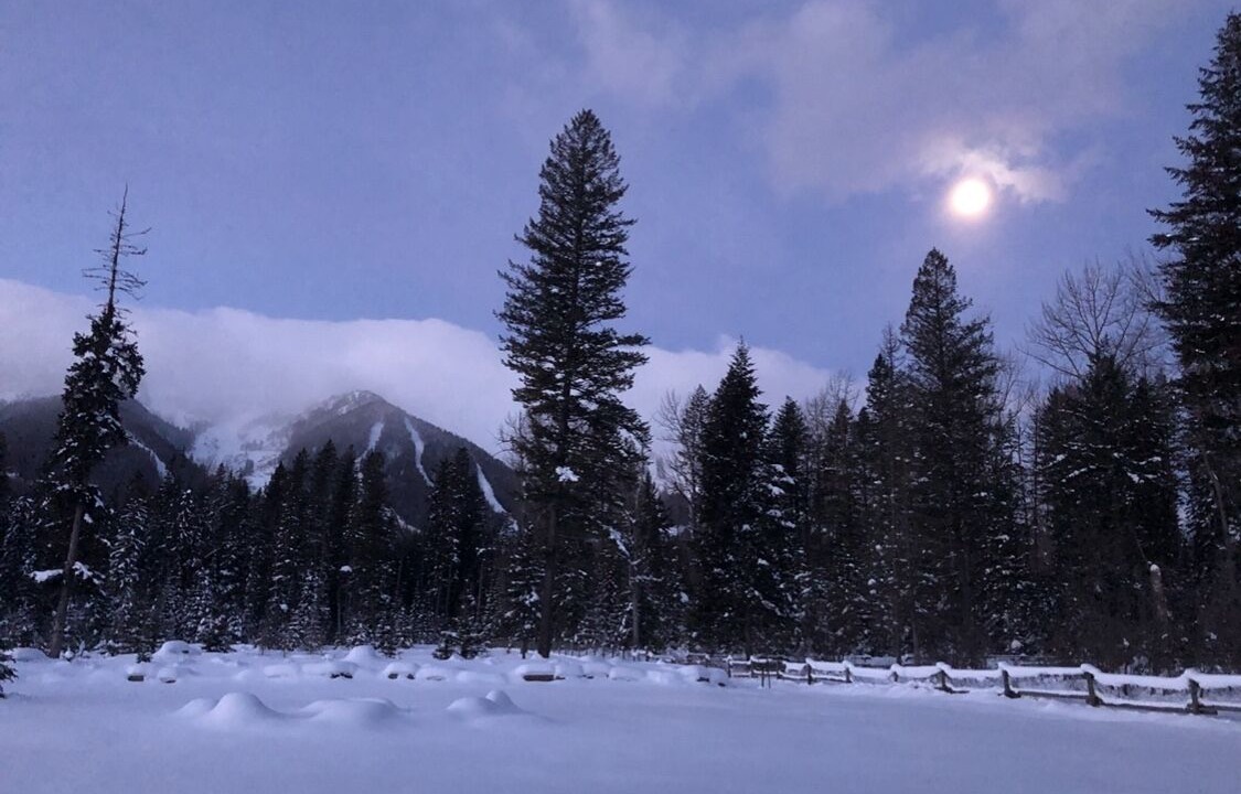 Photo of Others in Fernie