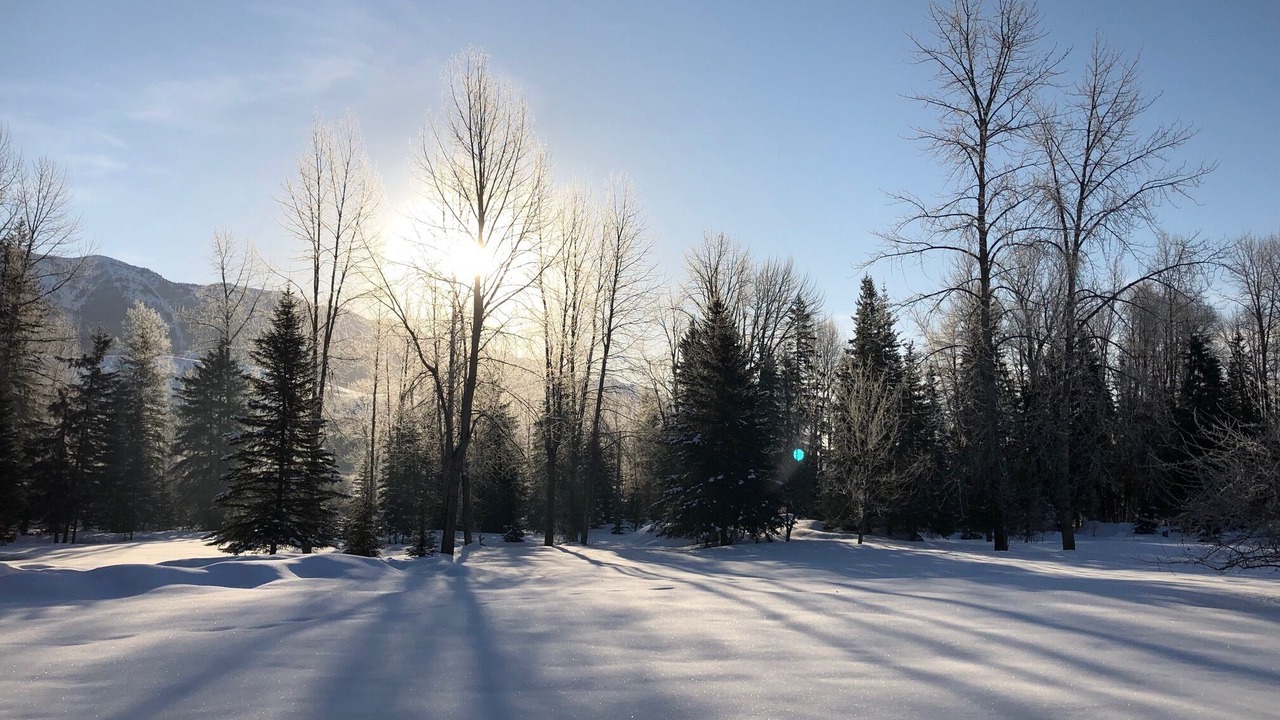 Photo of Others in Fernie