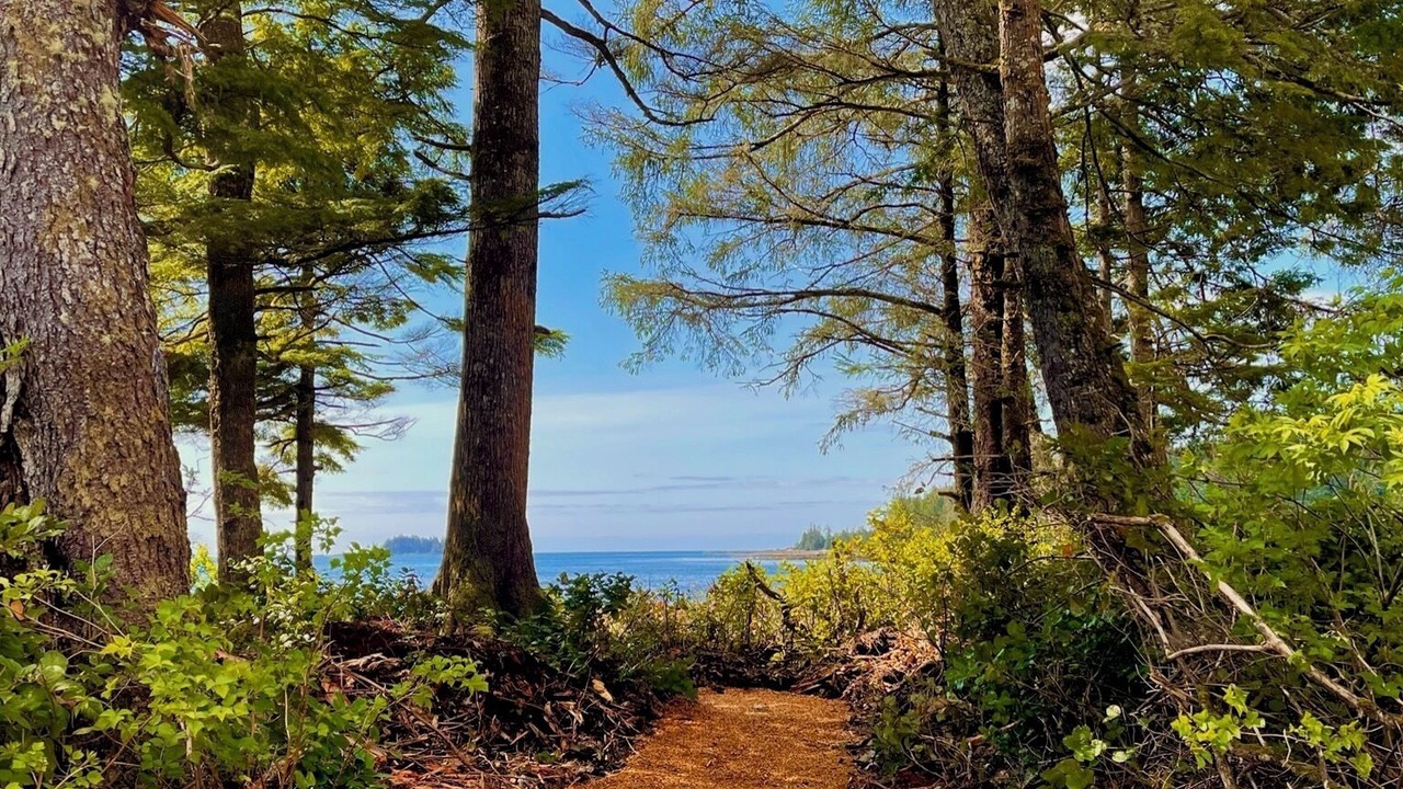 Photo of Outdoor in Ucluelet