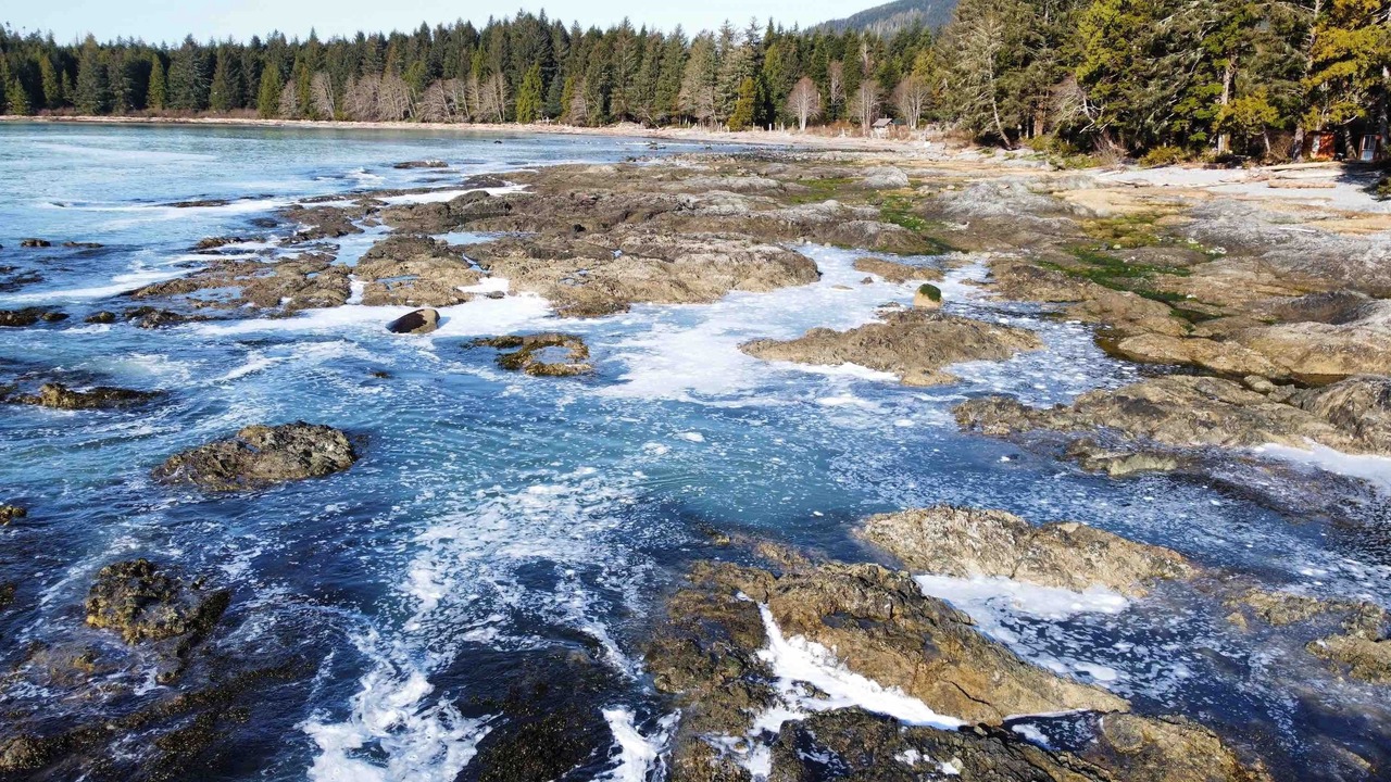 Photo of Outdoor in Ucluelet