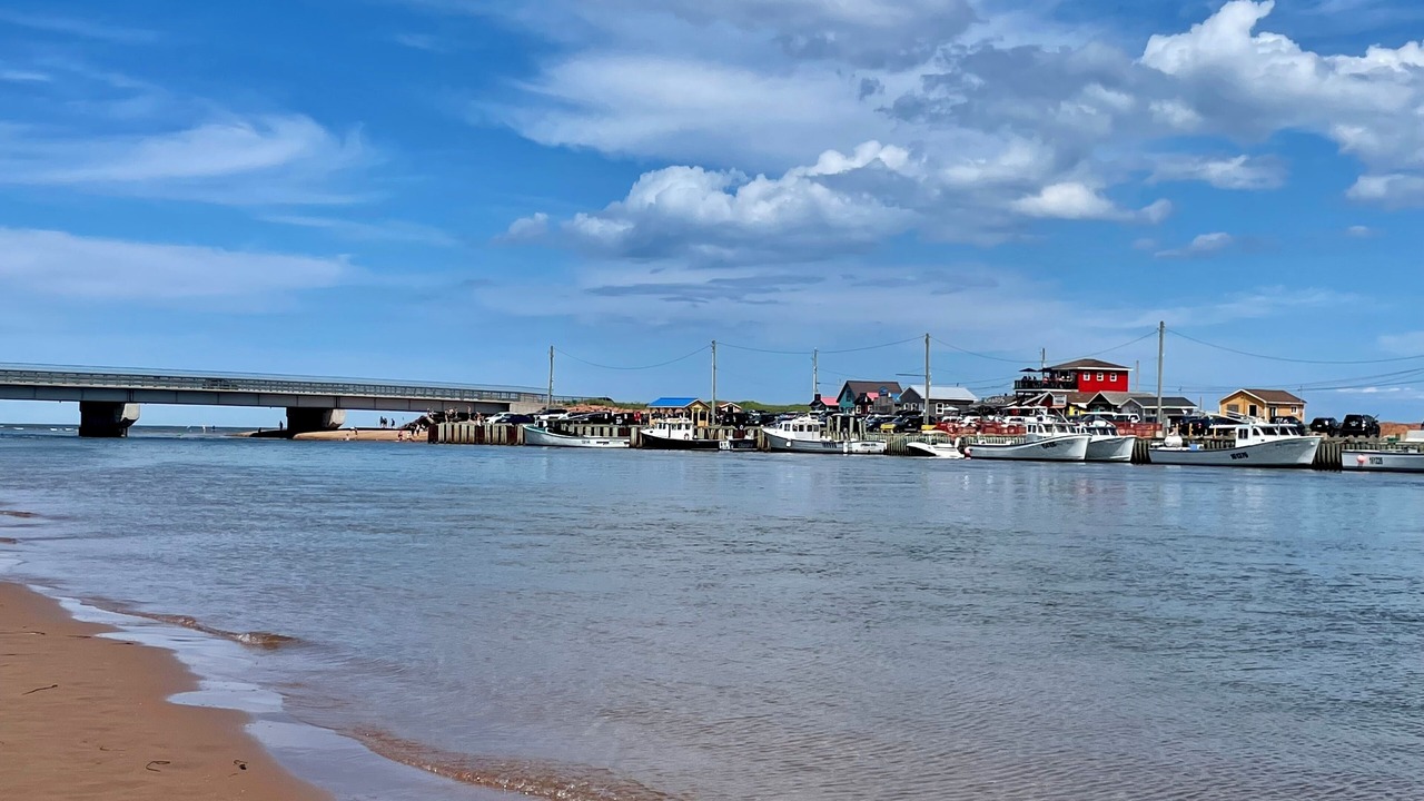 Photo of Others in West Covehead